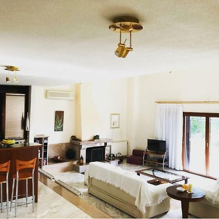Bright & Spacious Seaview Villa Siviri Exterior photo