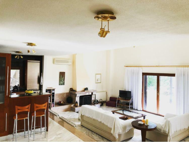 Bright & Spacious Seaview Villa Siviri Exterior photo