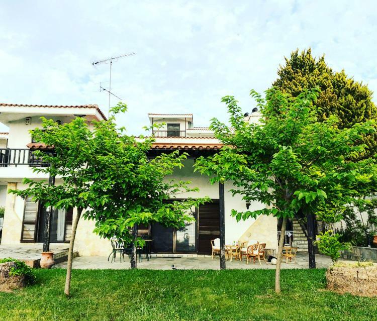 Bright & Spacious Seaview Villa Siviri Exterior photo