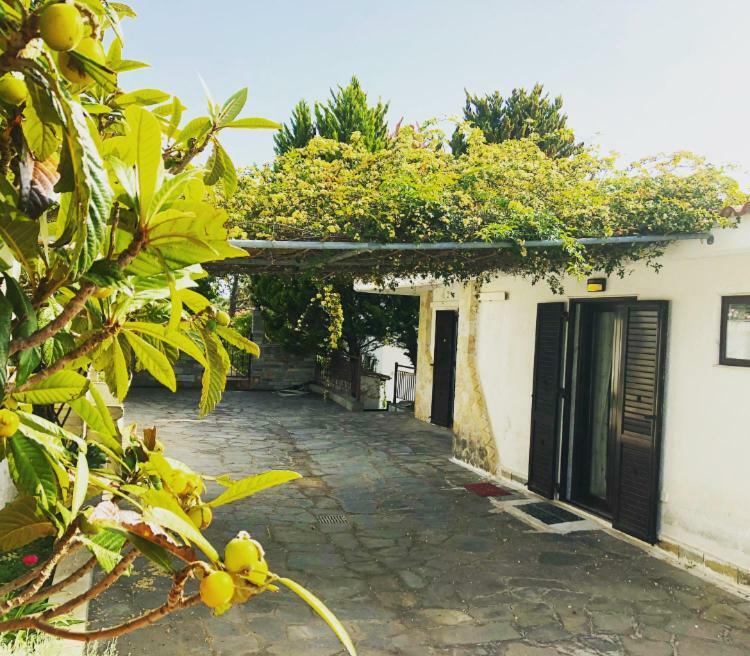 Bright & Spacious Seaview Villa Siviri Exterior photo
