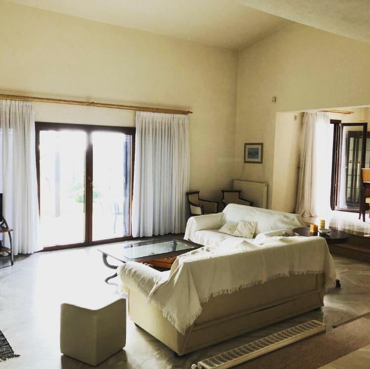 Bright & Spacious Seaview Villa Siviri Exterior photo